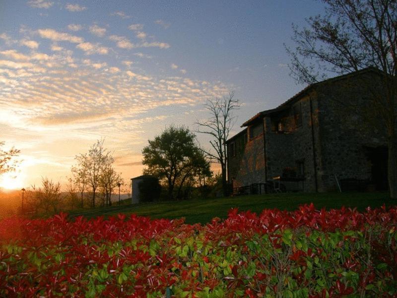 Agriturismo Il Poggio Di Orvieto Exteriör bild