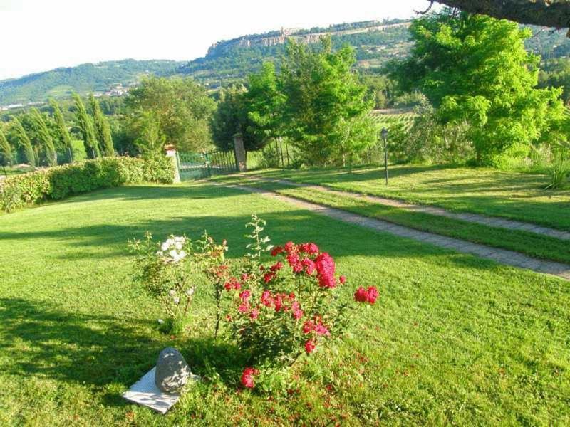 Agriturismo Il Poggio Di Orvieto Exteriör bild