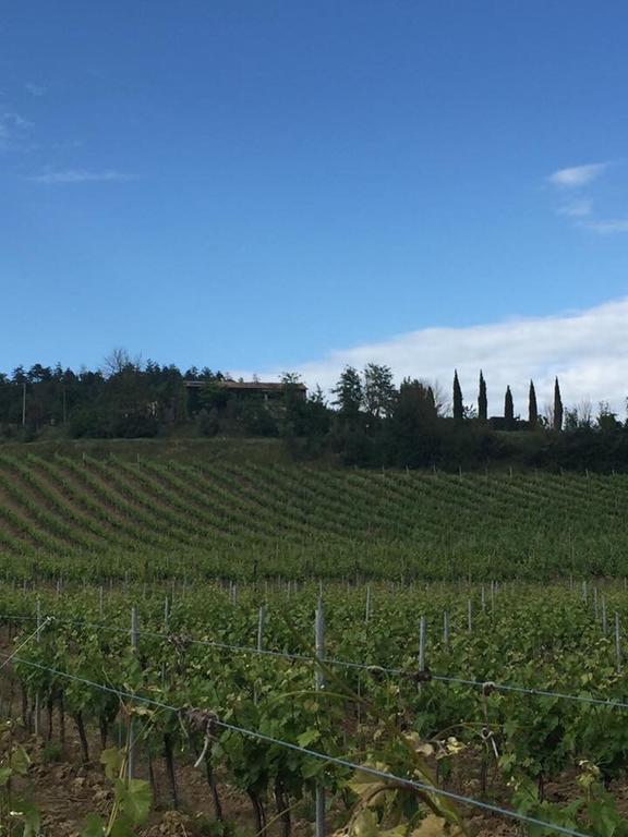 Agriturismo Il Poggio Di Orvieto Exteriör bild