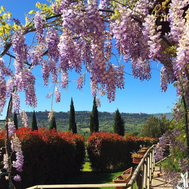 Agriturismo Il Poggio Di Orvieto Exteriör bild