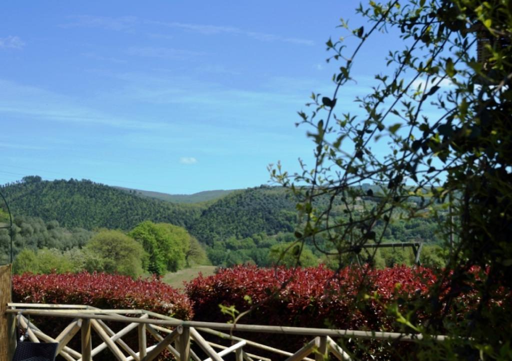 Agriturismo Il Poggio Di Orvieto Exteriör bild
